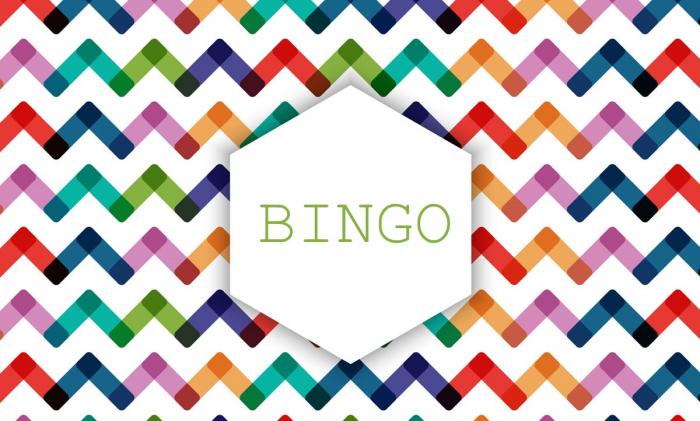 Tout savoir sur le bingo